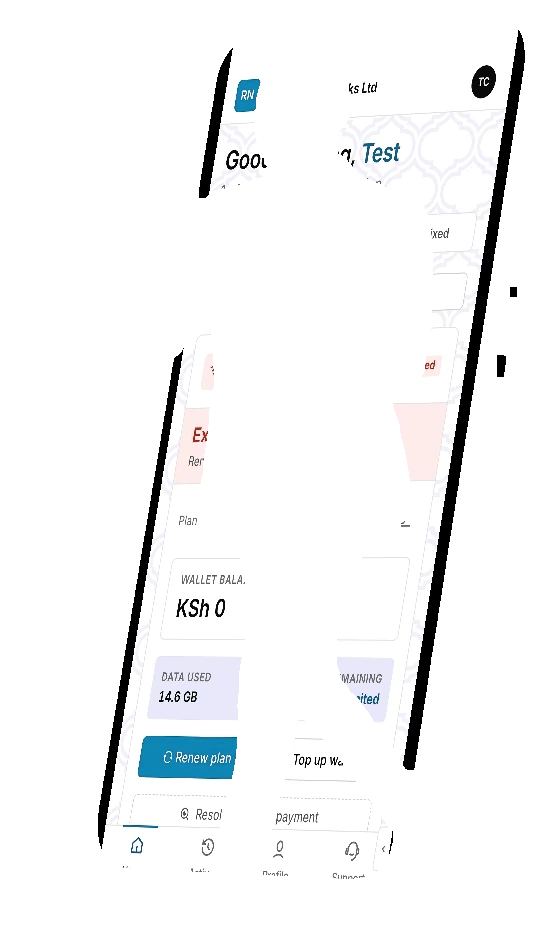 The customer portal home inside the phone: account status, plan and wallet balance